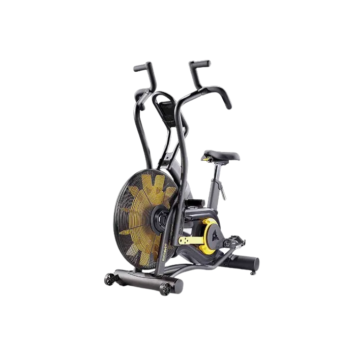 Renegade Air Bike AB100
