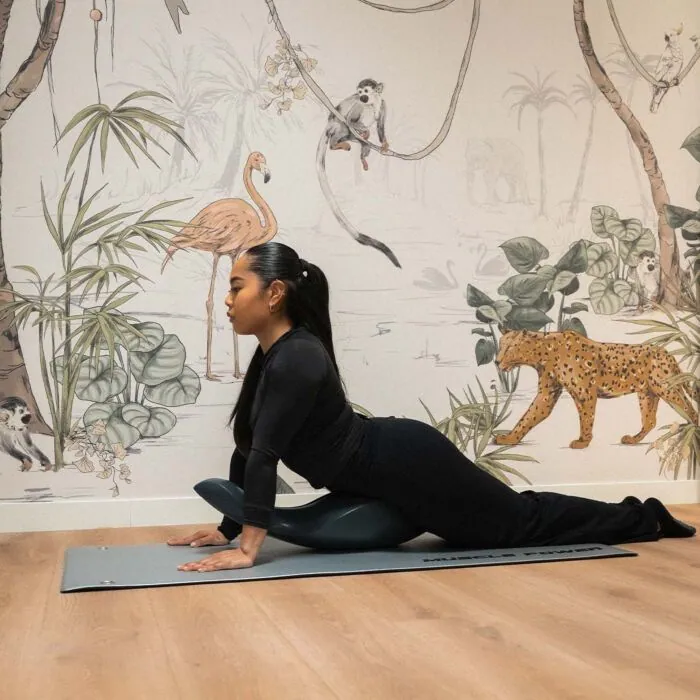 MPOK6687 Pilates dolphin